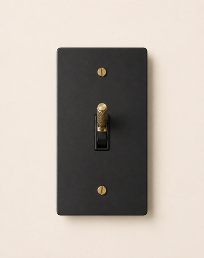 Signature Brass Toggle Switch
